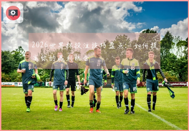 2026世界杯投注技巧盘点：如何提高你的赢利机会