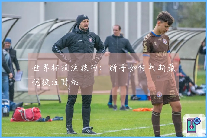 世界杯投注技巧：新手如何判断最优投注时机