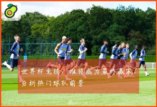 世界杯竞猜，谁将成为最终赢家？分析热门球队前景