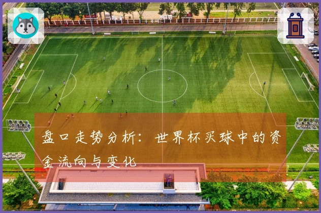 盘口走势分析：世界杯买球中的资金流向与变化