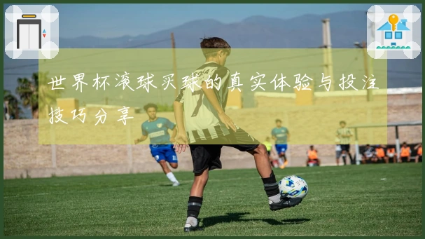 世界杯滚球买球的真实体验与投注技巧分享